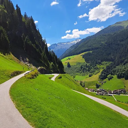 Viehhauser *
