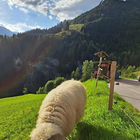 Viehhauser * Hüttschlag