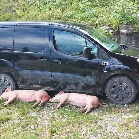 Casa vacanze Viehhauser *