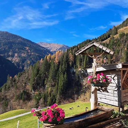 Tatil Evi Viehhauser