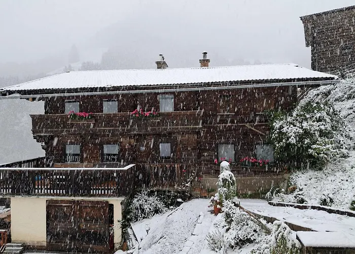 Tatil Evi Viehhauser