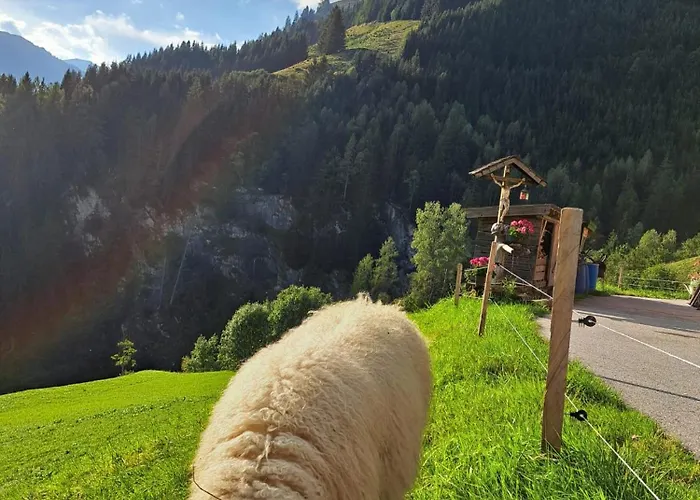 Viehhauser * Hüttschlag